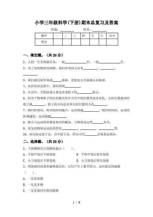 小学三年级科学(下册)期末总复习及答案