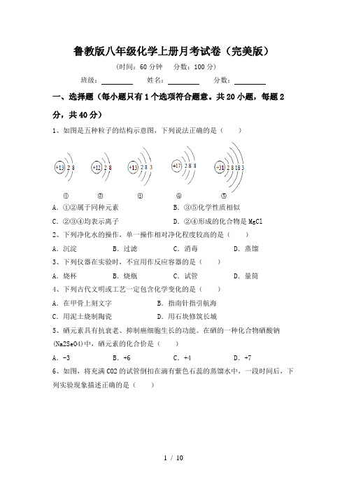 鲁教版八年级化学上册月考试卷(完美版)