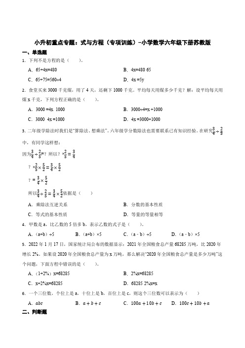 小升初重点专题：式与方程(易错专项)-小学数学六年级下册苏教版