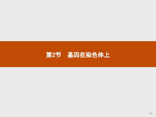 高中生物人教版必修2课件：2.2 基因在染色体上