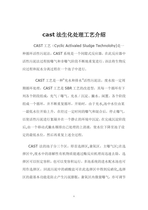 污水处理工艺-CAST