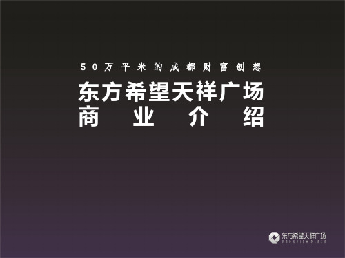 成都东方希望天祥广场商业报告