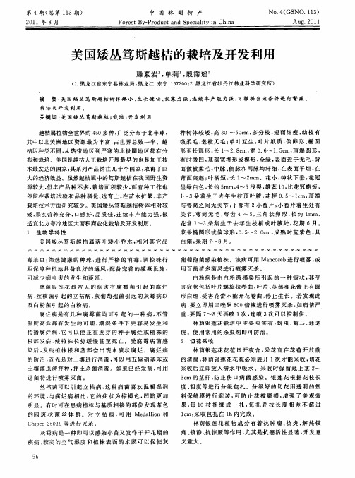 美国矮丛笃斯越桔的栽培及开发利用