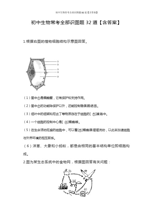 初中生物常考全部识图题32道【含答案】