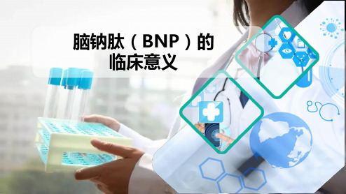 脑钠肽(BNP)的临床意义