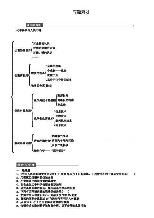 【新步步高 学案导学设计】2018-2019学年高中化学(苏教版,必修2)课时作业 专题4化学科学与人类文明 专题