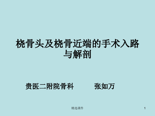 桡骨头及桡骨近端的手术入路与解剖