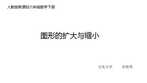 人教版新课标六年级数学下册  图形的放大与缩练习题1