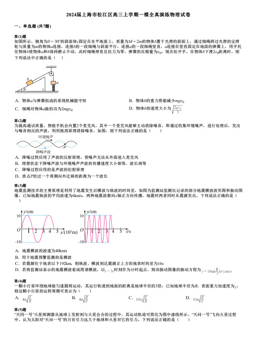 2024届上海市松江区高三上学期一模全真演练物理试卷