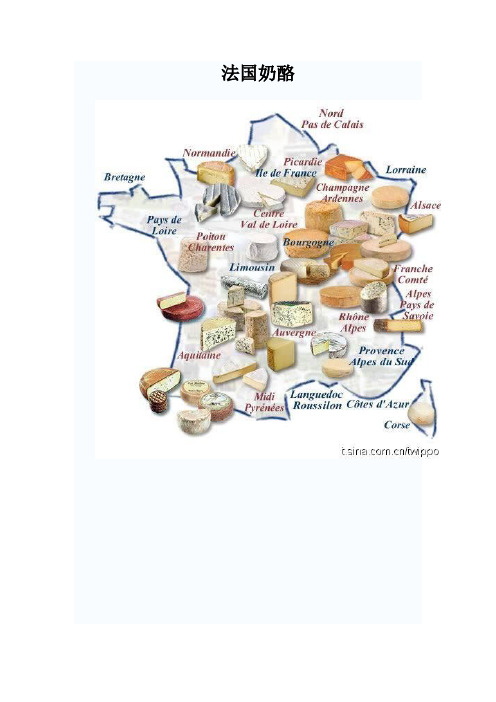 法国奶酪的分类1
