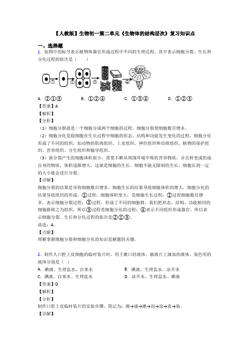 【人教版】生物初一第二单元《生物体的结构层次》复习知识点