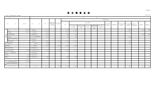 收支预算总表