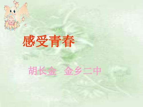 七年级政治感受青春1(教学课件201911)