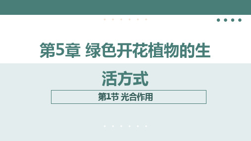 3.5.1光合作用教学课件(20张PPT)2023---2024学年北师大版生物七年级 上册 