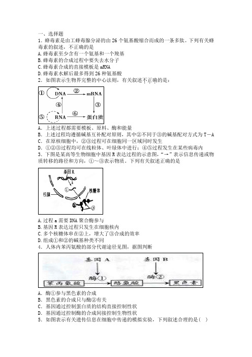 人教版   必修二   基因的表达 单元测试