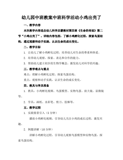 幼儿园中班教案中班科学活动小鸡出壳了