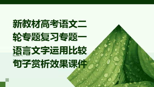 新教材高考语文二轮专题复习专题一语言文字运用比较句子赏析效果课件