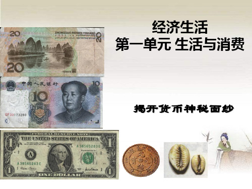 高中政治经济生活第一课课课件-PPT