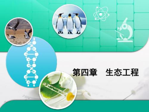 苏教版高中生物选修3 第四章章末复习：《生态工程》章末复习课件