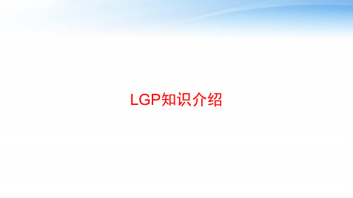 LGP知识介绍 ppt课件