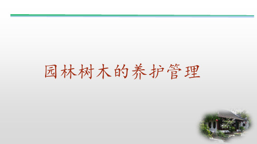 园林树木的树体养护与修补