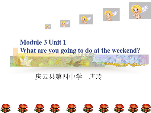 外研版七年级下册Module 3 Unit 1 What are you going to do at the weekend 说课稿