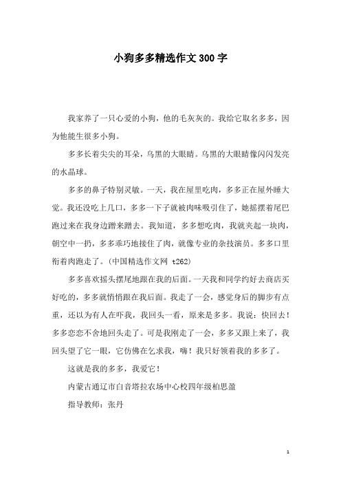 小狗多多精选作文300字