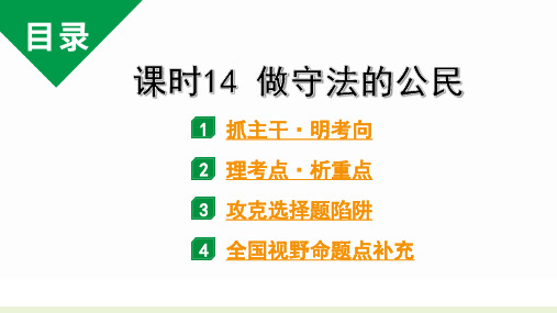 初中道德与法治优质课件 做守法的公民