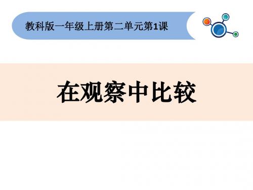 最新教科版一年级上册科学2.1在观察中比较 课件