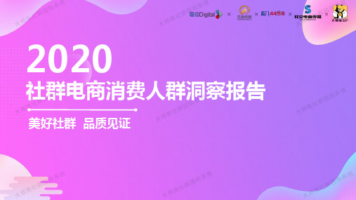 2020社群电商消费人群洞察报告