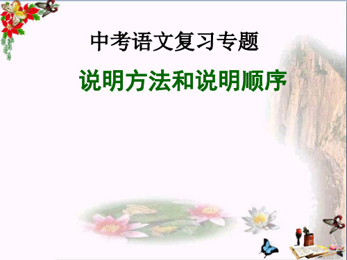 中考语文总复习课件  论述类文本——说明方法与顺序 课件 (共13张PPT)(优质版)