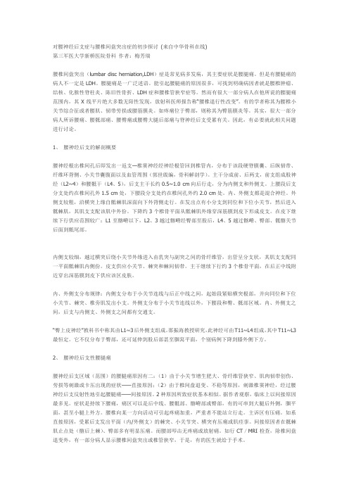 对腰神经后支症与腰椎间盘突出症的初步探讨