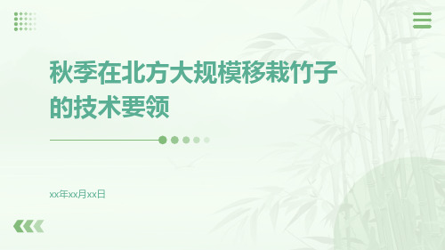 秋季在北方大规模移栽竹子的技术要领