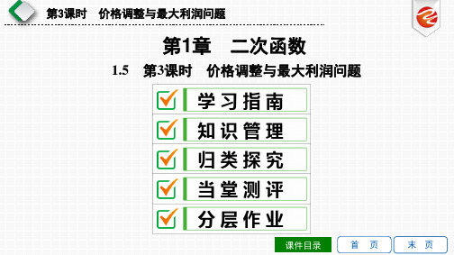 1.5 第3课时 价格调整与最大利润问题