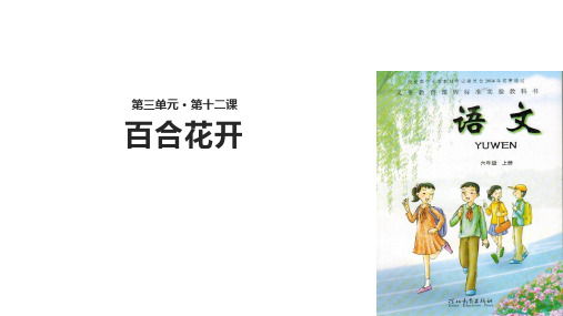 (赛课课件)北师大版六年级上册语文《百合花开》(共17张PPT)