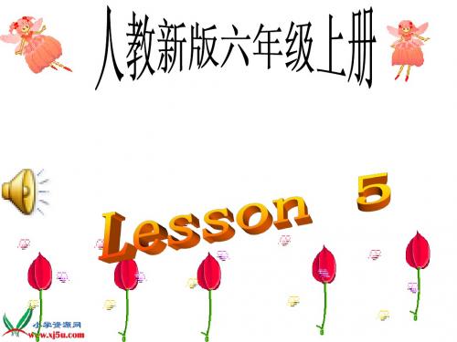 小学 六年级上册英语Lesson 5