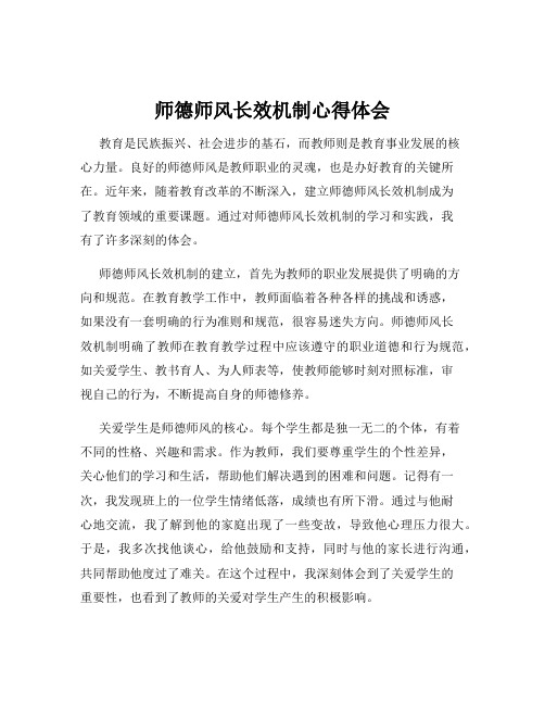 师德师风长效机制心得体会