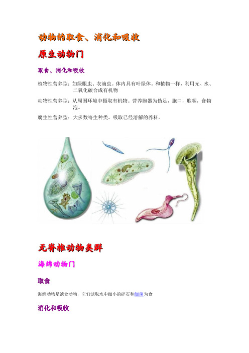 动物的取食、消化和吸收