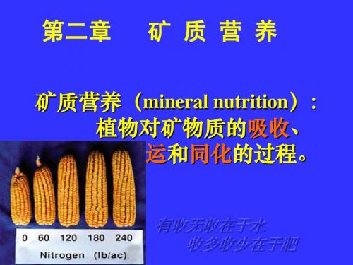 第二章  矿质营养(一)2014