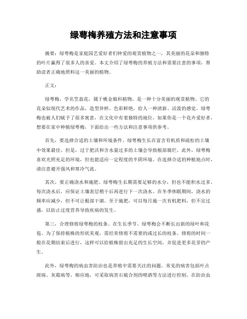 绿萼梅养殖方法和注意事项