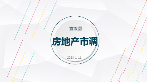 四川达州宣汉县市调报告