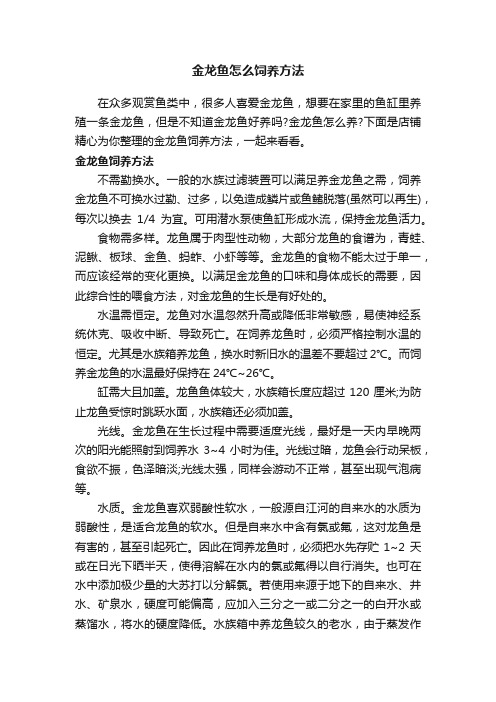 金龙鱼怎么饲养方法