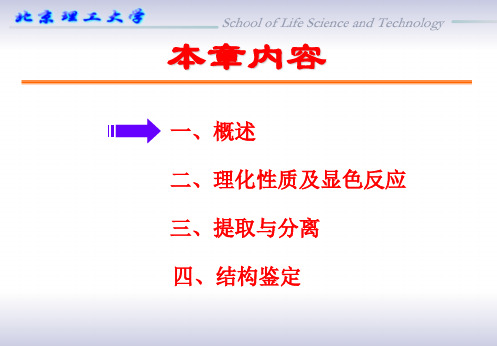 陶瓷制作与欣赏课件