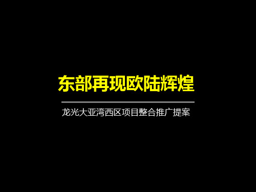 广东龙光大亚湾西区别墅项目整合推广提案_99p_营销策划方案