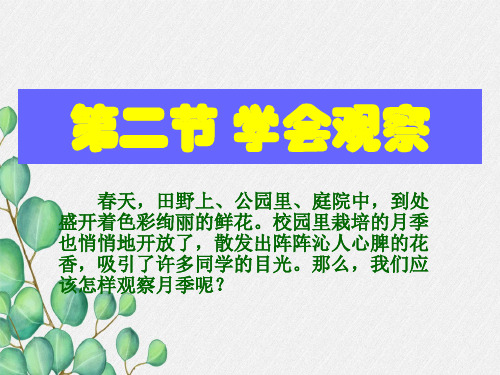 (新)冀教版生物七上《学会观察》公开课(课件) 4