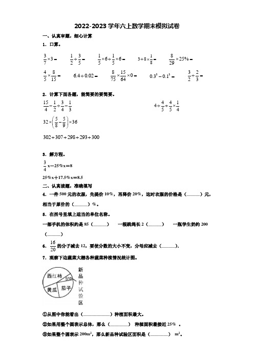 2023届广东省深圳市龙岗区春蕾小学数学六年级第一学期期末经典试题含解析