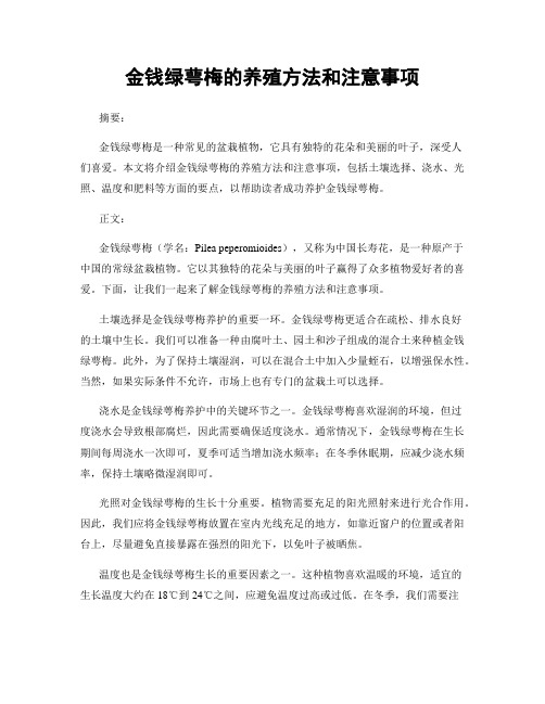 金钱绿萼梅的养殖方法和注意事项