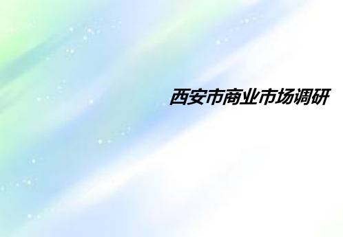 西安市商业市场调研报告资料