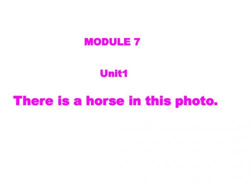 外研版四年级上册英语上课-Module-7-Unit-1-There-is-a-horse-in-this-photo-1-外研社(三起)