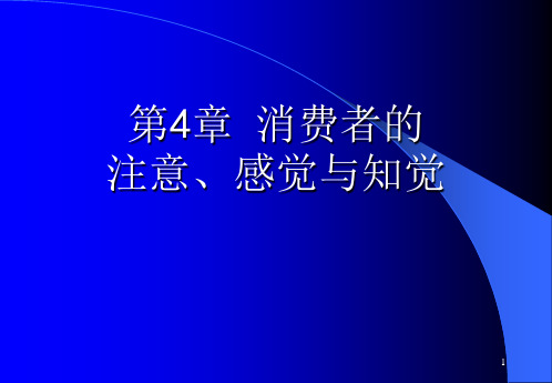 消费者的注意感觉与知觉PPT精选文档